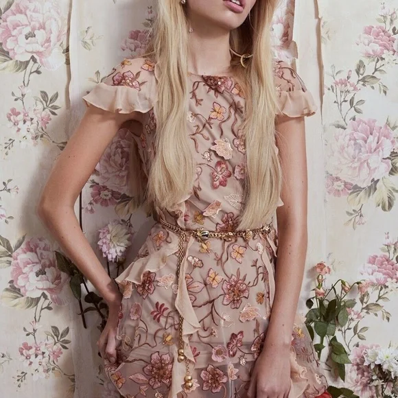 Botanic Butterflies Butterfly Bug Sequin Flutter Coquette Trendy Hip Mini Dress - Picture 8 of 13